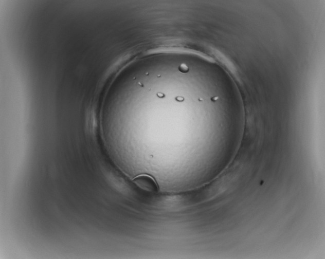 X0000113740059200909301020