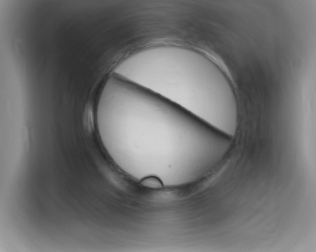 X0000113740061200909301020