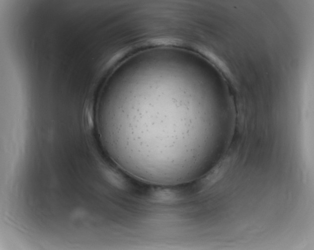 X0000113740062200909301020