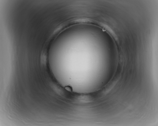 X0000113740063200909301020