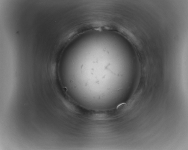 X0000113740066200909301020