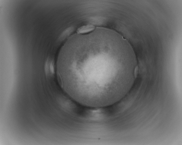 X0000113740068200909301020