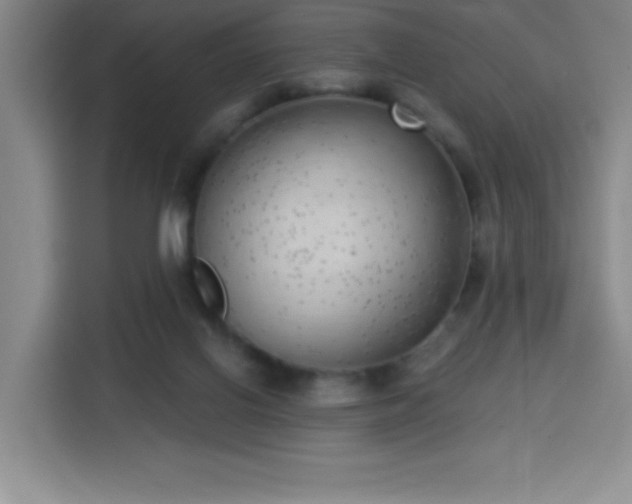 X0000113740070200909301020