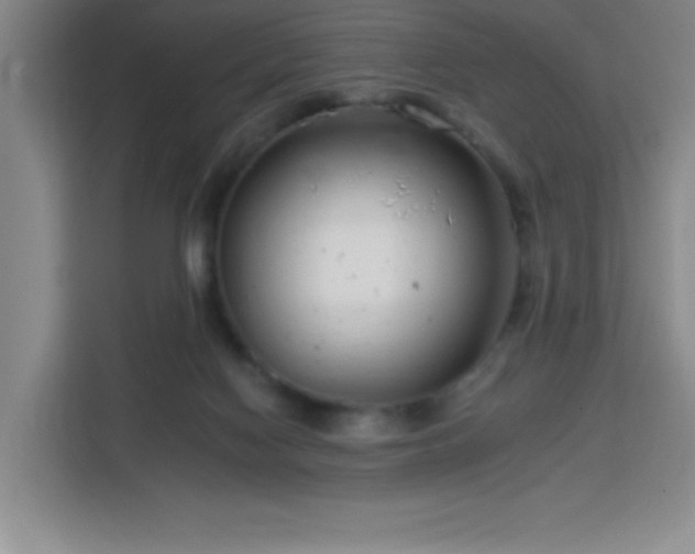 X0000113740074200909301020