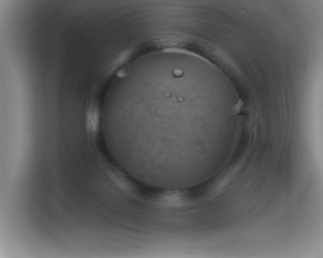 X0000113740076200909301020