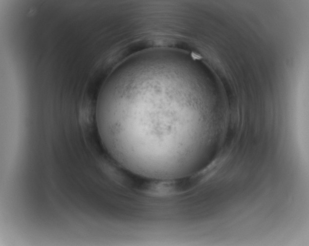 X0000113740078200909301020