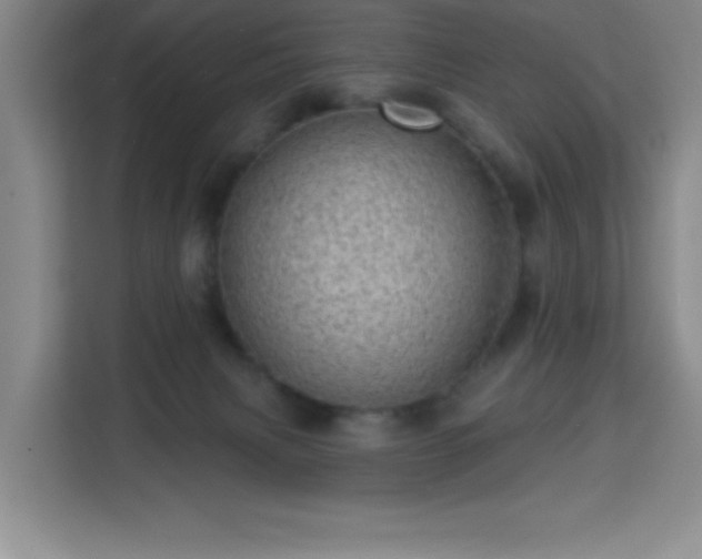 X0000113740079200909301020