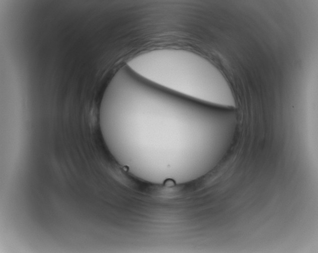 X0000113740081200909301020