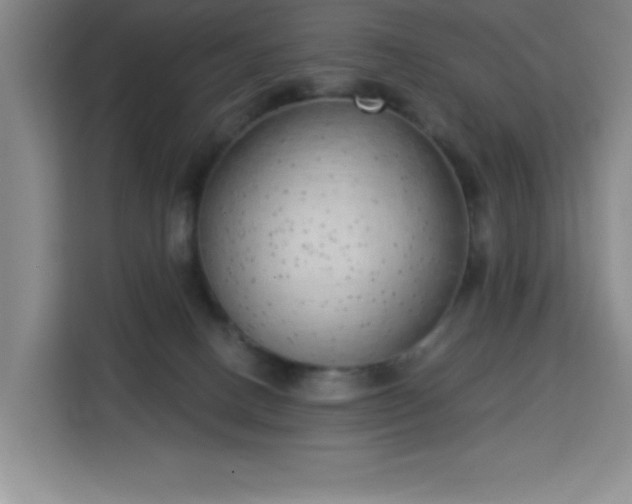 X0000113740082200909301020