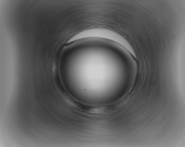 X0000113740084200909301020