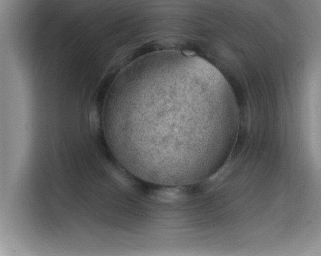 X0000113740086200909301020