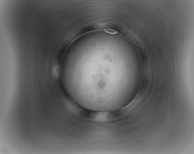 X0000113740090200909301020