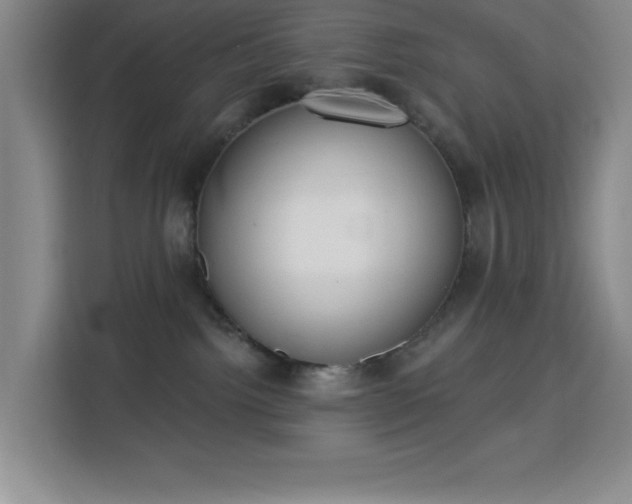 X0000113740092200909301020