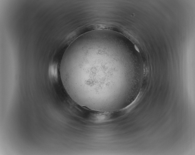 X0000113740094200909301020