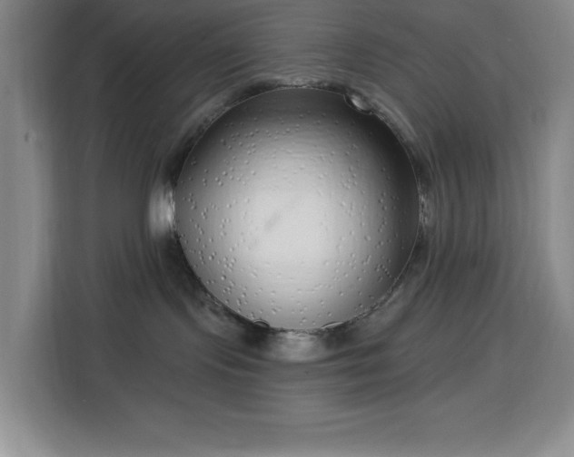 X0000113740095200909301020