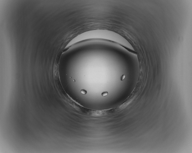 X0000113740096200909301020