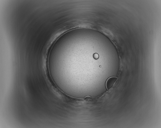 X0000113740098200909301019