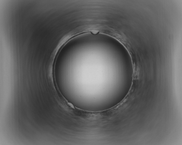 X0000113740099200909301019