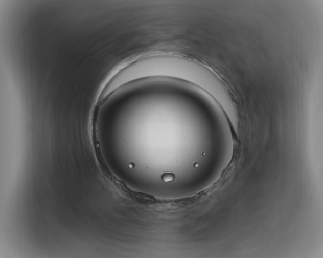 X0000113740100200909301019