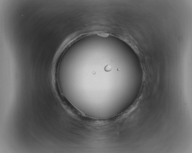 X0000113740101200909301019