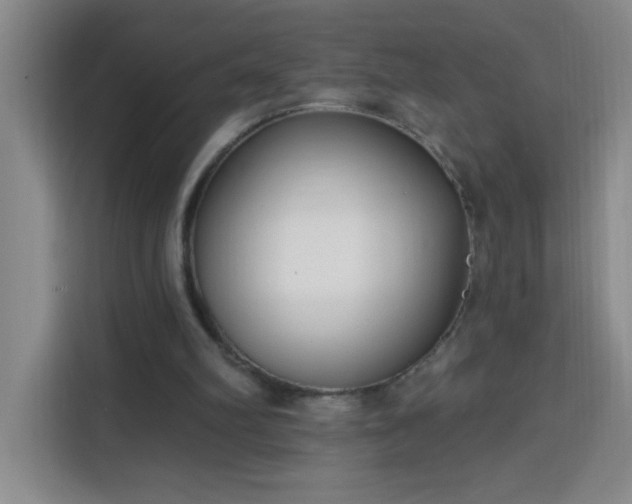 X0000113740102200909301019