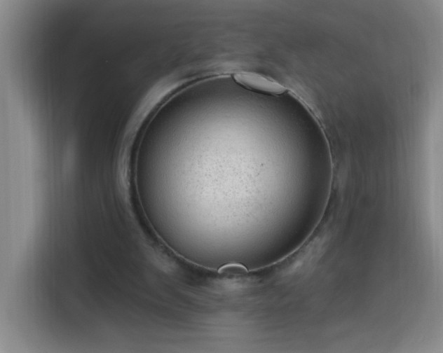 X0000113740103200909301019