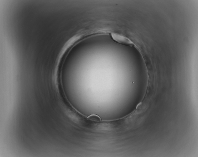 X0000113740104200909301019