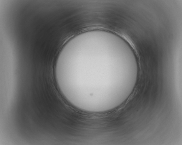 X0000113740105200909301019