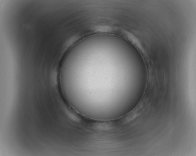 X0000113740106200909301019