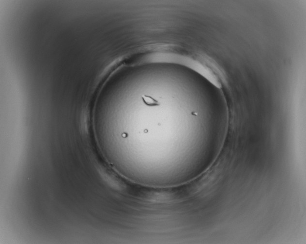 X0000113740107200909301019