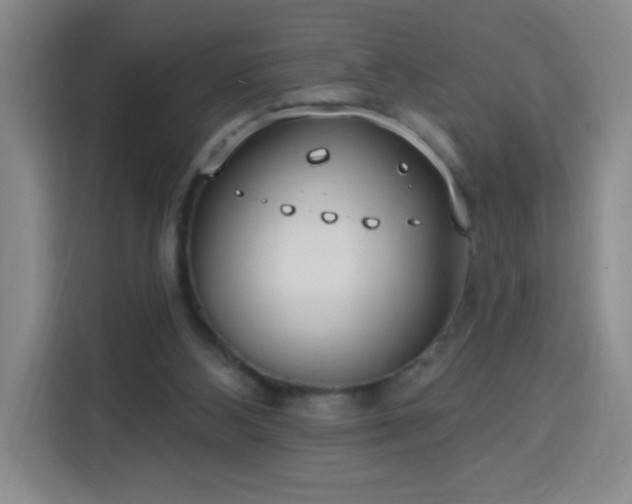 X0000113740108200909301019