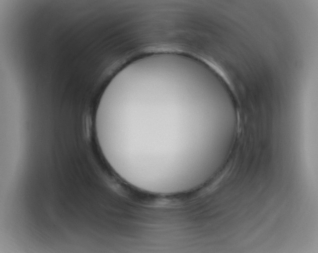 X0000113740109200909301019