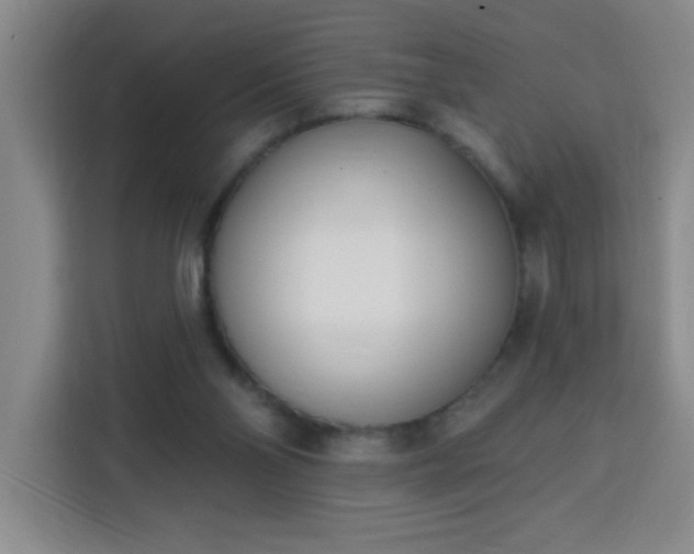 X0000113740110200909301019