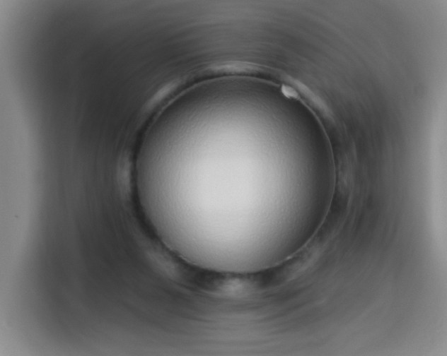 X0000113740111200909301019