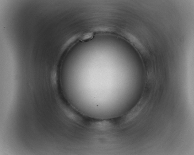 X0000113740112200909301019