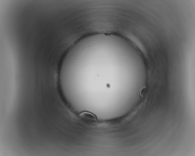 X0000113740113200909301019