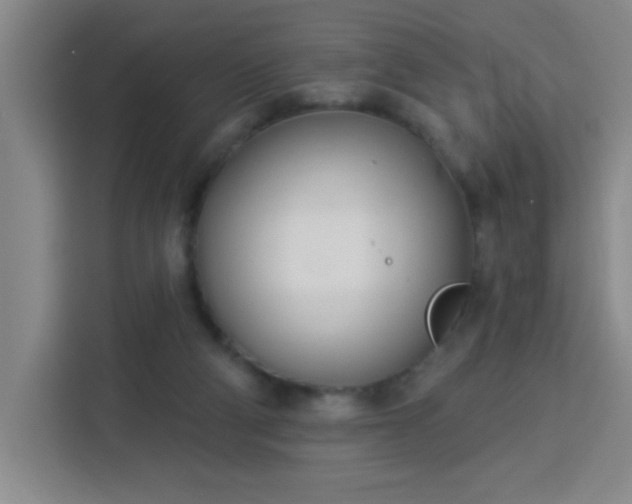 X0000113740114200909301019