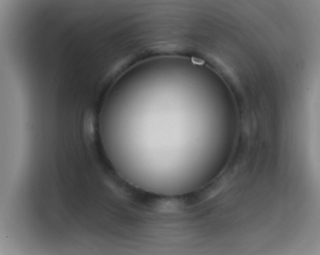 X0000113740115200909301019