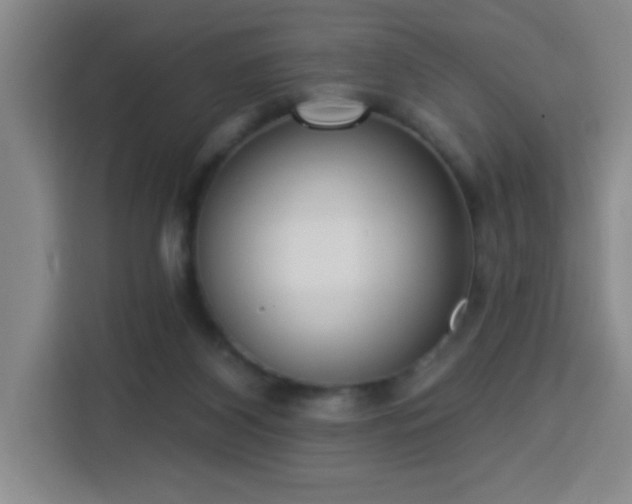 X0000113740116200909301019