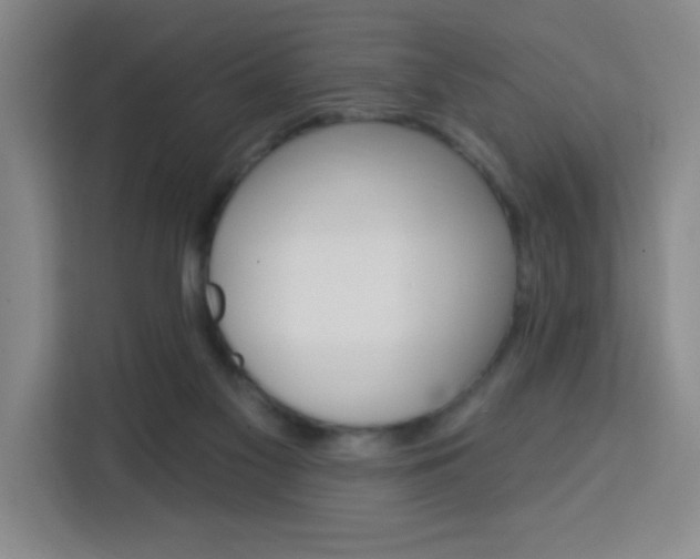 X0000113740117200909301019