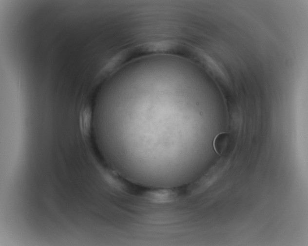 X0000113740118200909301019