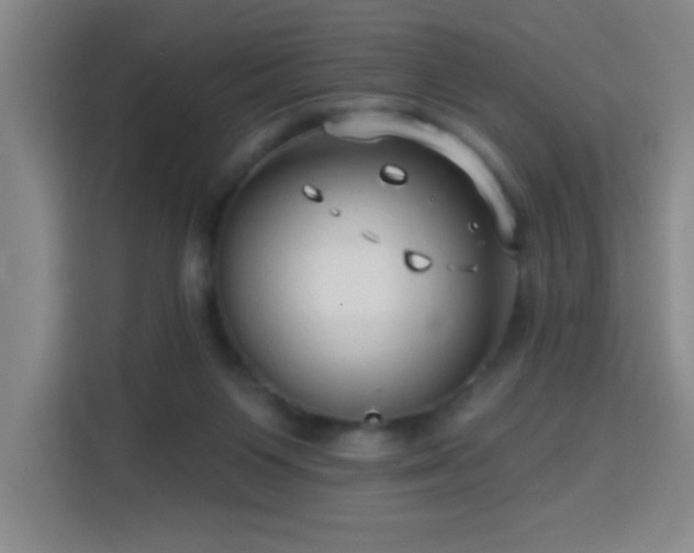 X0000113740119200909301019