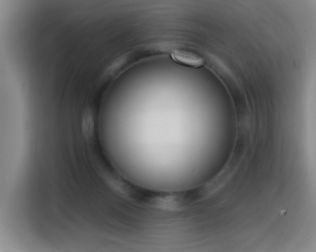 X0000113740120200909301019