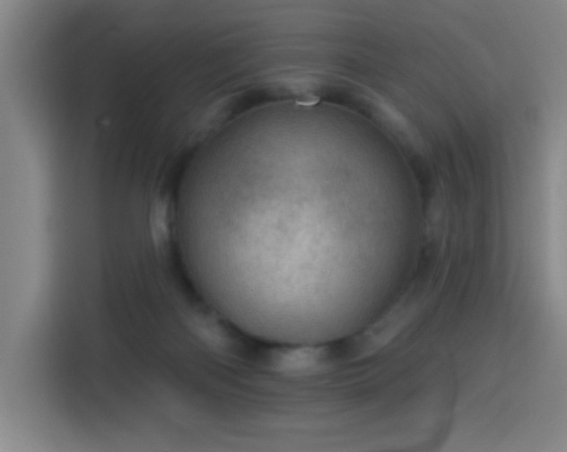 X0000113740122200909301019