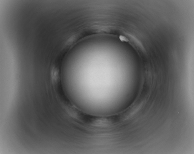 X0000113740123200909301019