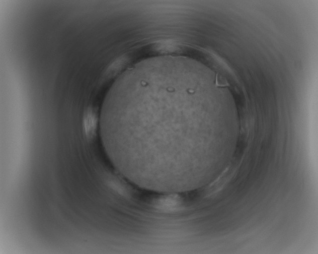 X0000113740124200909301019