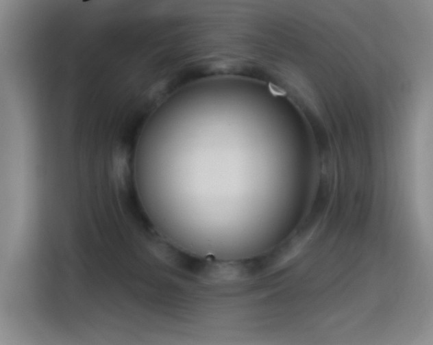 X0000113740127200909301019