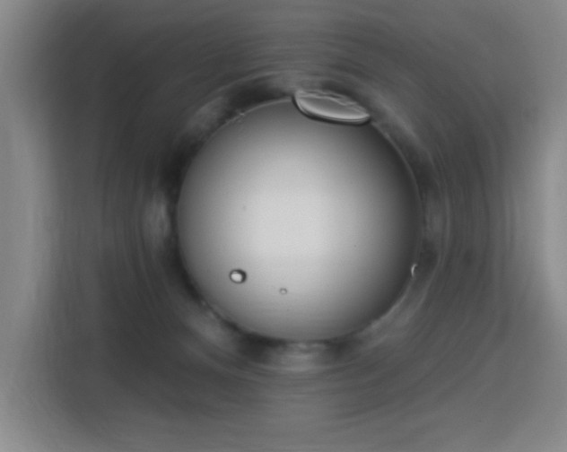 X0000113740128200909301019