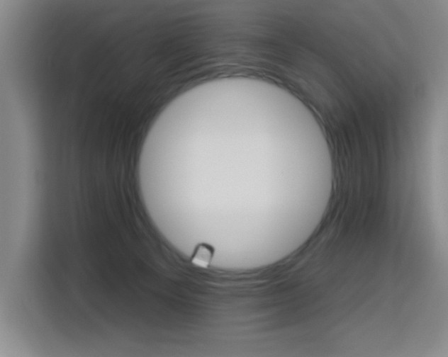 X0000113740129200909301019