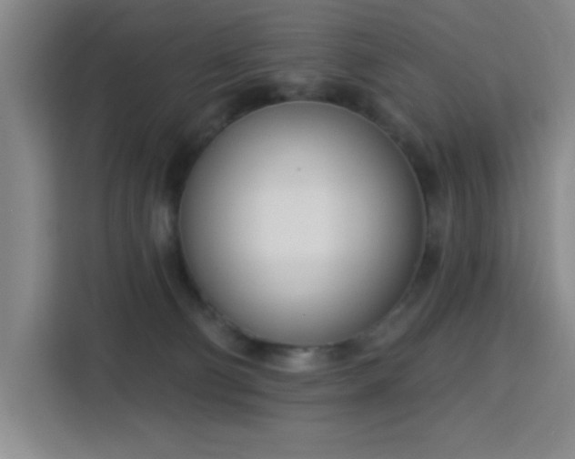 X0000113740130200909301019